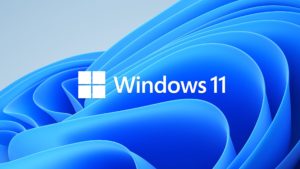 windows 11 logo 2