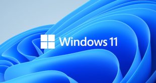 windows 11 logo 2